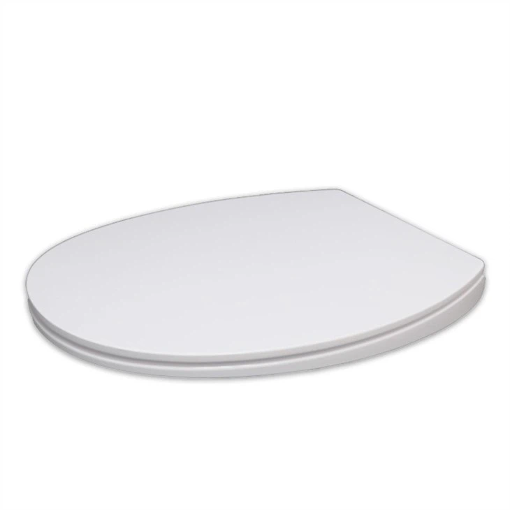 1 toilet-bowl-seat
