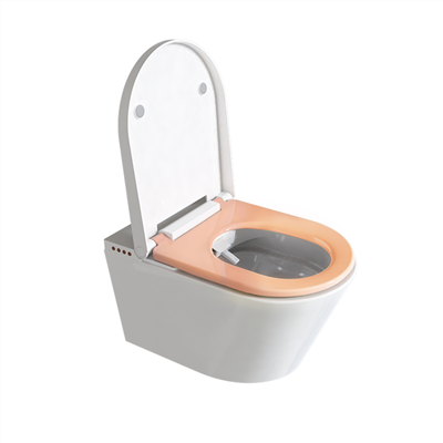Leithreas Bidet Le Uisce Te Agus Triomadóir