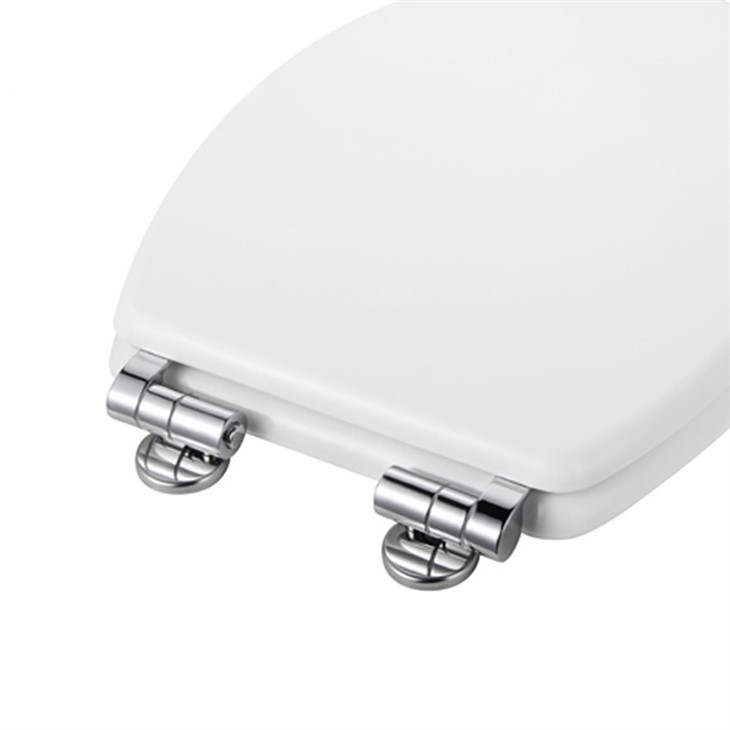 Zinc-Alloy-toilet-seat-hinge